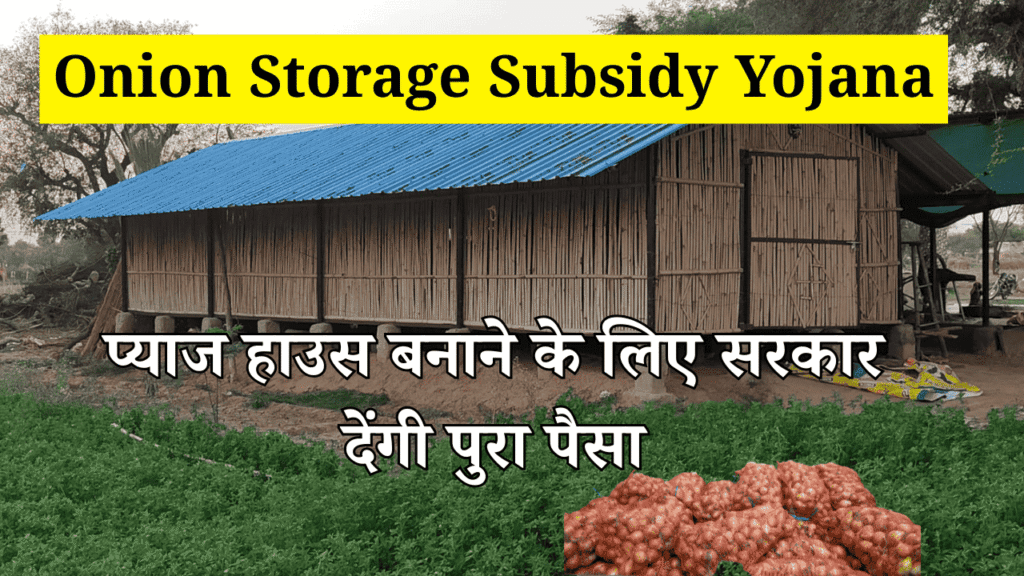 Onion Storage Subsidy
